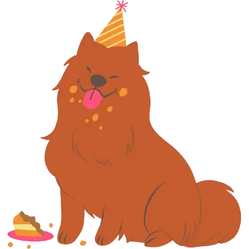 Dog Age Calculator
